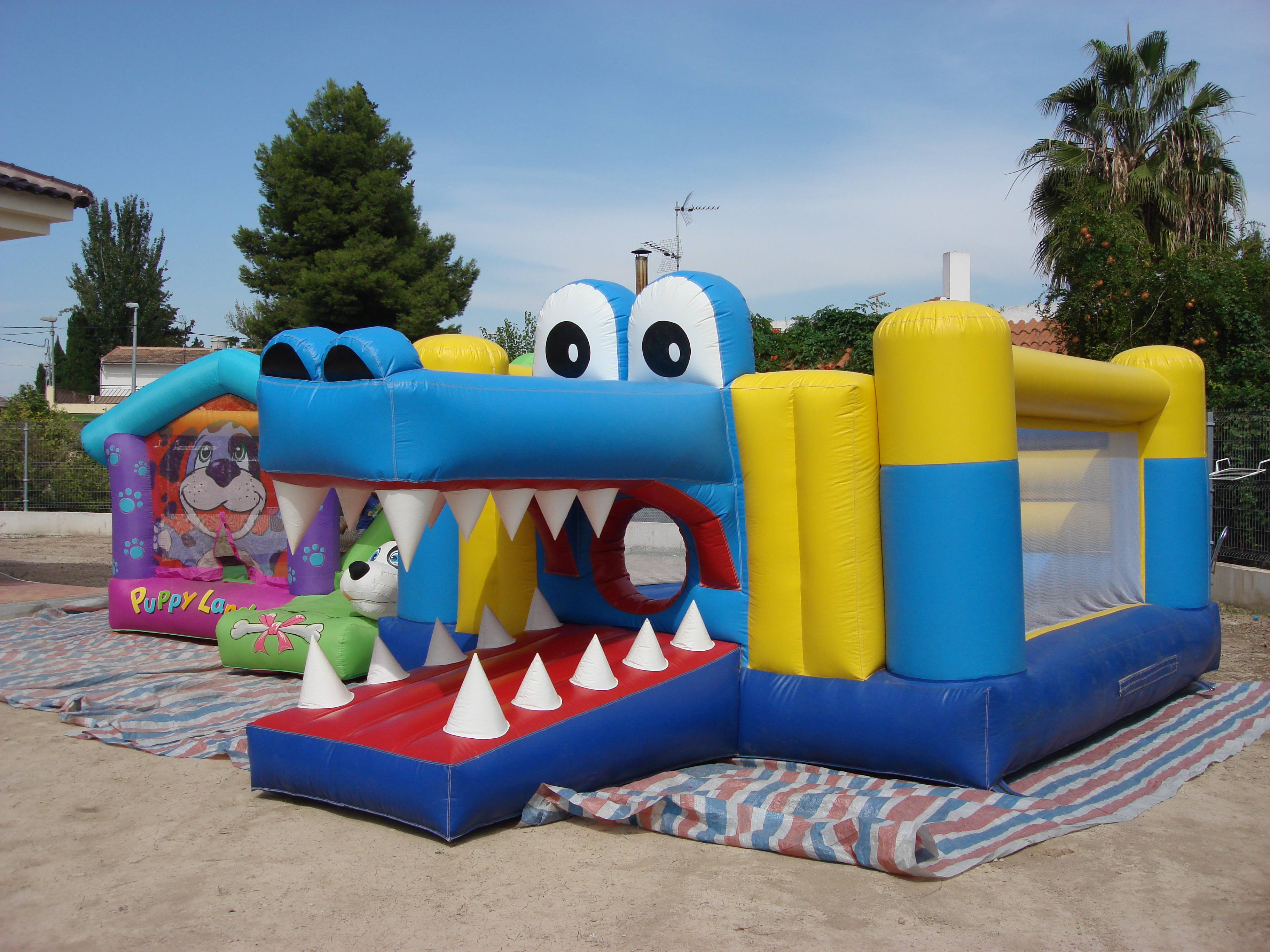 Colchonetas Hinchables y Castillos Hinchables